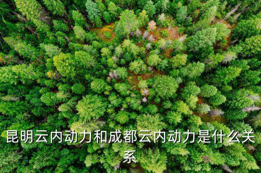 云南云內(nèi)動力是什么性質(zhì)，什么是云內(nèi)發(fā)動機