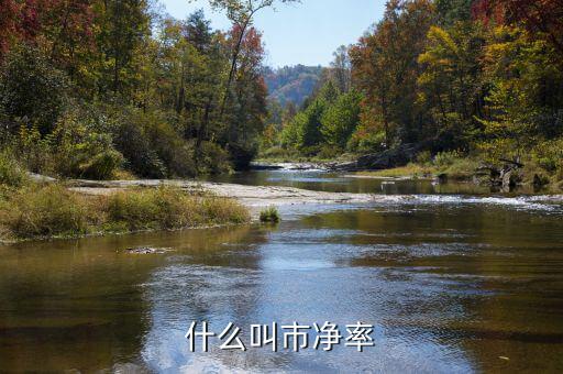 市凈率代表什么，市凈率代表什么