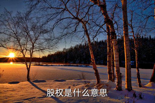 中國宏橋股權(quán)是什么意思，中國石化的股權(quán)登記日是什么時(shí)候