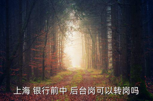銀行前臺怎么轉(zhuǎn)后臺,銀行分為中央銀行和政策銀行、商業(yè)銀行等