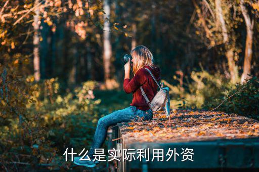 什么叫實際使用外資，什么是實際利用外資