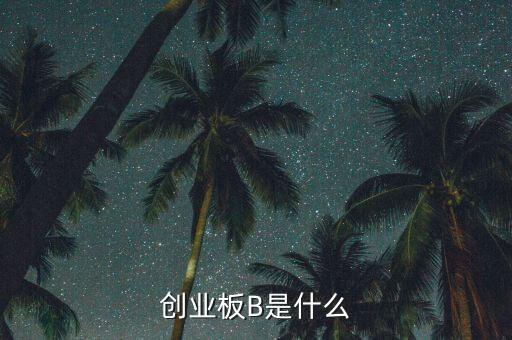 創(chuàng)業(yè)板b杠桿是什么，創(chuàng)業(yè)板B是什么