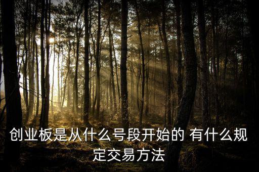 創(chuàng)業(yè)板什么開頭，創(chuàng)業(yè)板代碼什么數(shù)字開頭