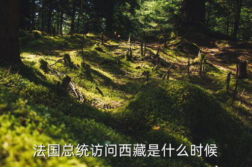 默克爾什么時(shí)間訪華，法國(guó)總統(tǒng)訪問西藏是什么時(shí)候