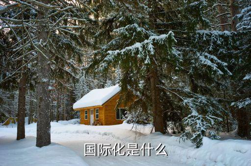 國際化的本質(zhì)是什么，經(jīng)濟(jì)全球化的本質(zhì)是什么