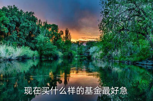 現(xiàn)在買什么基金最好，現(xiàn)在買哪個基金好