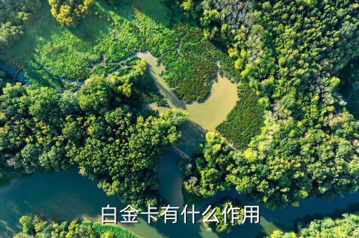 興業(yè)白金卡有什么好處，白金卡有什么作用