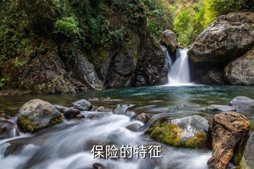 保險具有什么特點，保險的特征