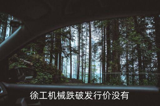 徐工機械什么時候復權，徐工機械何時復牌