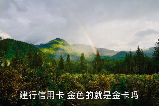 建設銀行信用卡什么卡種是金卡，我申請建設銀行的信用卡我申請的是金卡審核通過了上面寫的卡