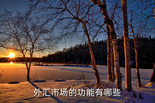 外匯有什么用，外匯市場(chǎng)的功能有哪些
