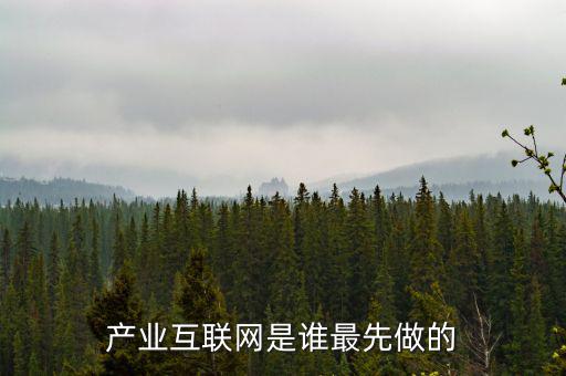 產(chǎn)業(yè)互聯(lián)網(wǎng)是什么龍頭，產(chǎn)業(yè)互聯(lián)網(wǎng)是誰最先做的