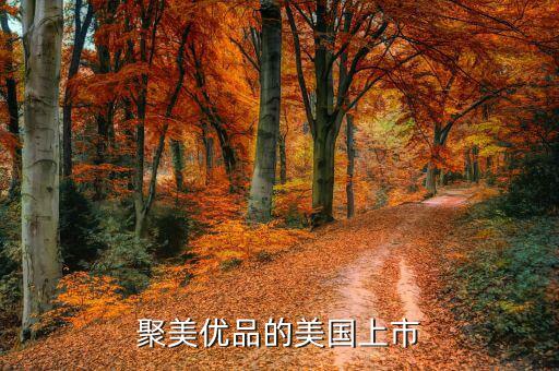聚美優(yōu)品為什么要上市，根據(jù)聚美優(yōu)品案例談談什么是ipo