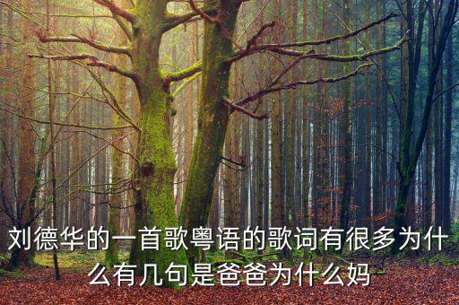 法為什么對is空襲，劉德華的一首歌粵語的歌詞有很多為什么有幾句是爸爸為什么媽