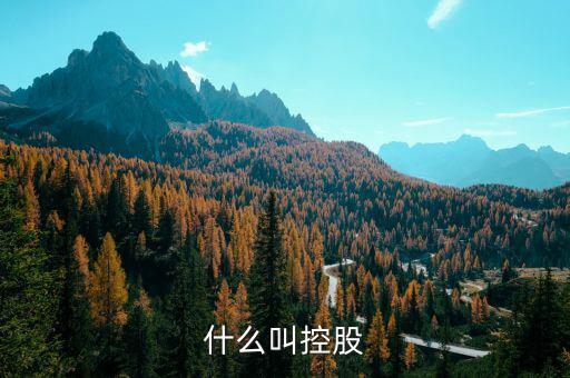 什么是控股關(guān)系，什么叫控股