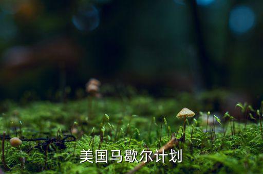馬歇爾計劃內(nèi)容和實質(zhì)是什么，馬歇爾計劃