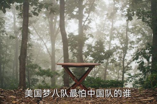 雷思海美國(guó)最怕中國(guó)什么，美國(guó)夢(mèng)八隊(duì)最怕中國(guó)隊(duì)的誰(shuí)