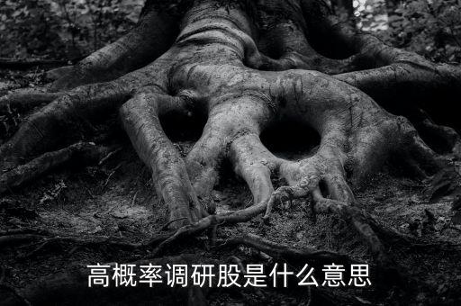 調(diào)研是什么意思股票，高概率調(diào)研股是什么意思
