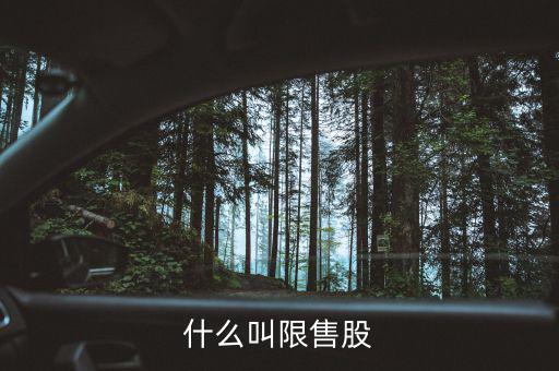 什么是上市公司限售股，什么叫限售股份