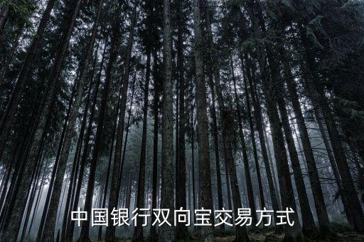 中國(guó)銀行雙向?qū)毷鞘裁?，中?guó)銀行雙向?qū)殬I(yè)務(wù)詳細(xì)介紹