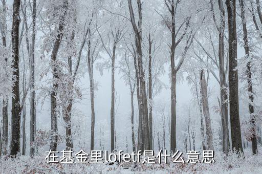 什么是etf，ETF 基金到底是什么東西