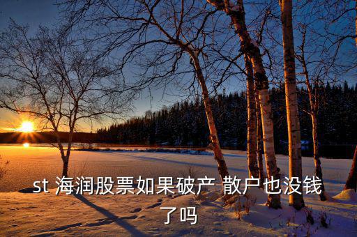 st 海潤(rùn)股票如果破產(chǎn) 散戶也沒(méi)錢(qián)了嗎