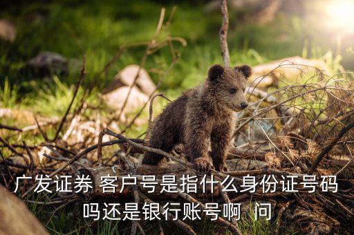 廣發(fā)證券開(kāi)戶(hù)編號(hào)是什么，廣發(fā)證券 客戶(hù)編號(hào) 是什么