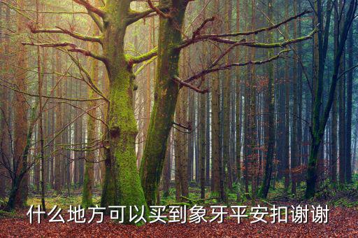 在日本什么地方買象牙制品，什么地方有批發(fā)象牙飾品的