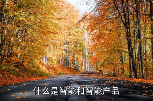 什么是智能產(chǎn)品，智能產(chǎn)品數(shù)碼產(chǎn)品電子產(chǎn)品它們有什么區(qū)別