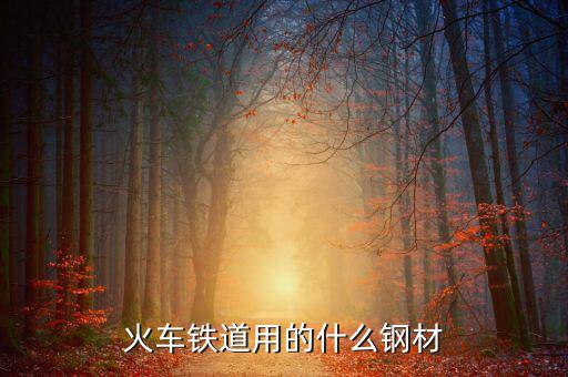 動車制造用的是什么鋼，火車鐵道用的什么鋼材