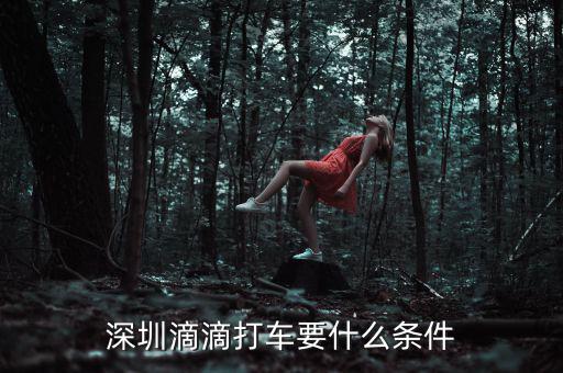 深圳交通滴滴有什么政策，申請(qǐng)深圳滴滴對(duì)司機(jī)有些什么要求嗎