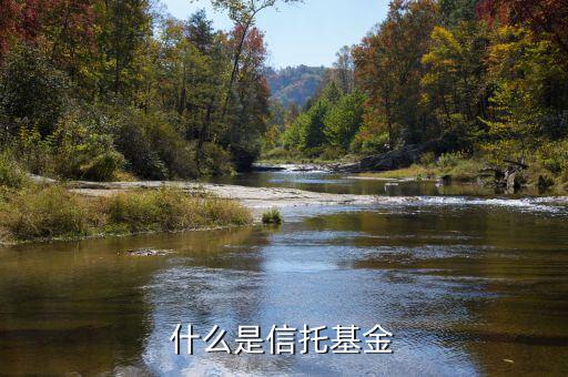 信托基金是什么，信托是什么