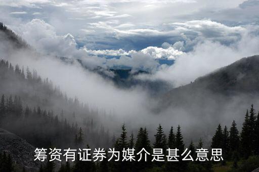 沒(méi)有以證券為媒介什么意思，籌資有證券為媒介是甚么意思