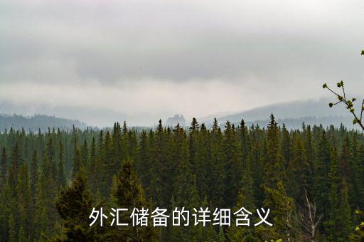 外匯儲備包括什么，外匯儲備指什么是用黃金或紙幣來儲備