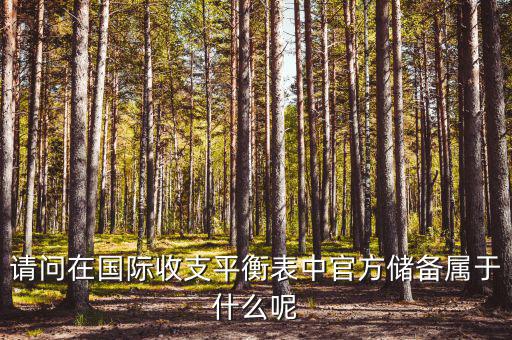官方儲(chǔ)備資產(chǎn)包括什么，官方儲(chǔ)備資產(chǎn)包括固定資產(chǎn)嗎