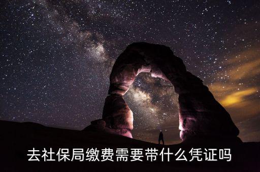 去社保局申報年度繳費工資需要帶什么證件，去社保局繳費需要帶什么憑證嗎
