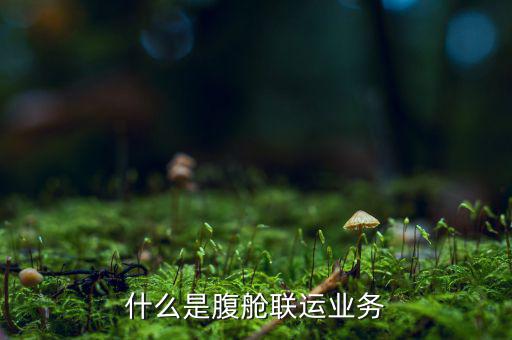 什么叫聯運業(yè)務，什么是腹艙聯運業(yè)務