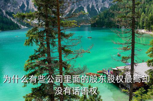 為什么持股少的沒什么權利，投資多的一方又叫第三方投資原投資少的一方有什么權利