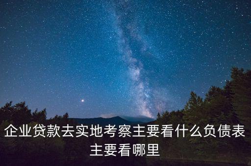 貸款實地考察做些什么，企業(yè)貸款去實地考察主要看什么負(fù)債表主要看哪里