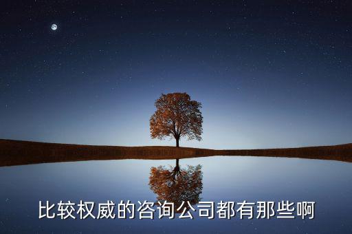 艾瑞和易觀是什么公司，易觀國際有幾個子公司