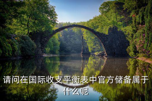請(qǐng)問在國(guó)際收支平衡表中官方儲(chǔ)備屬于什么呢