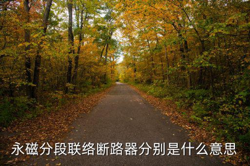什么是永磁開關(guān)，什么是永磁