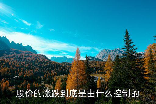 是什么控制了中國股市，是什么在操縱股市的大盤