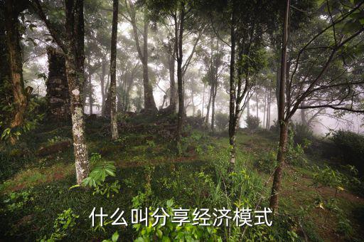 什么是分享經(jīng)濟(jì)，通俗講什么是分享經(jīng)濟(jì)