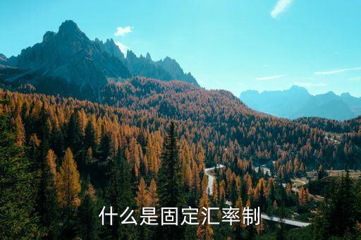什么是固定匯率制度，解釋一下固定匯率