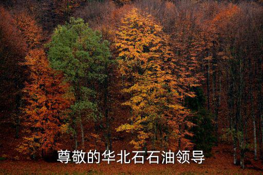 尊敬的華北石石油領(lǐng)導