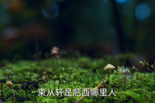 朱從玖肥西什么地方人，kimson肥西是哪里人