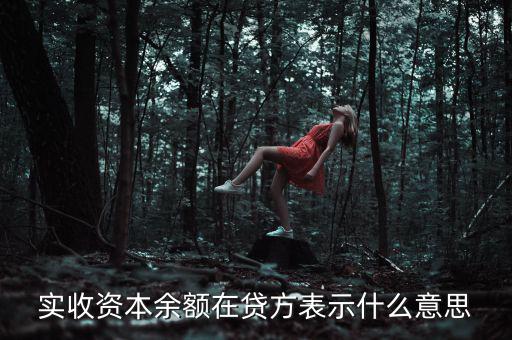 什么是資本余額，什么是資本性資金誰知道請(qǐng)告訴我謝謝