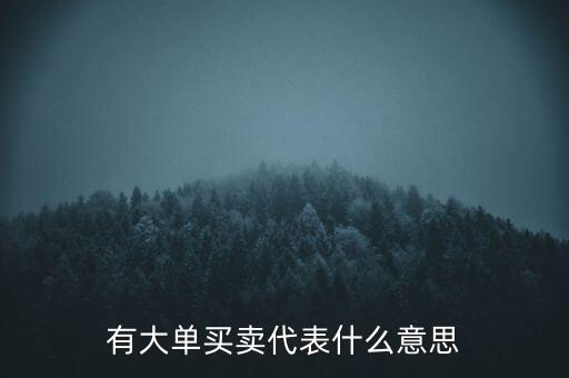 在買5成交有大單是什么意思，股票中大單是什么意思