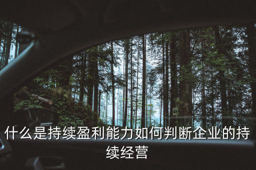 什么是持續(xù)盈利能力，什么是具備持續(xù)贏利能力的行業(yè)